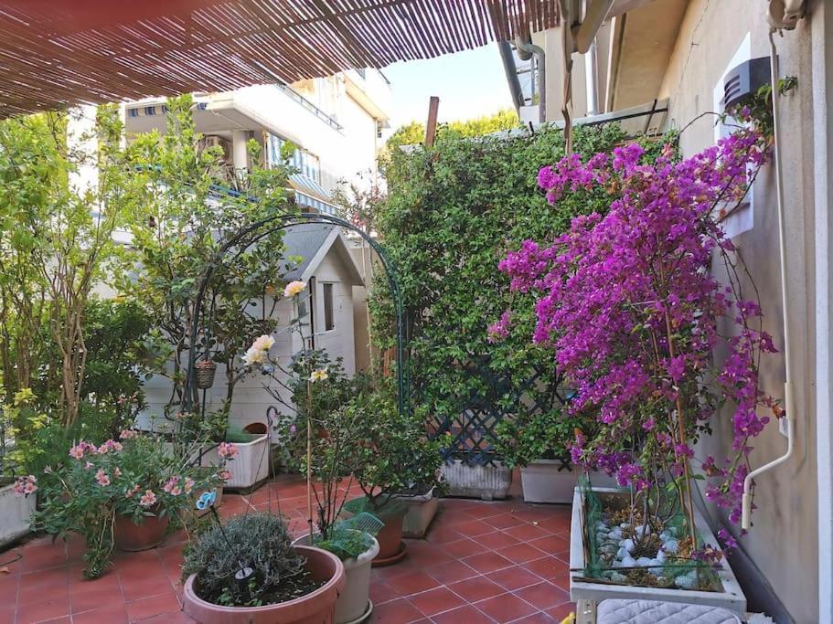 Villa Serena 비아레지오 외부 사진
